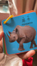 動(dòng)物卡片幼兒認知卡片書(shū)兒童玩具寶寶益智玩具嬰幼兒?jiǎn)⒚烧J知卡 安全材質(zhì)-無(wú)異味 升級款一盒裝【動(dòng)物世界】 曬單實(shí)拍圖