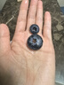 云南高山巨無(wú)霸藍莓125g 22mm 曬單實(shí)拍圖