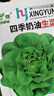 【虧本沖量】四季玻璃生菜奶油生菜種子脆嫩生吃種籽四季盆栽蔬菜 奶油生菜種子【800?！?品牌原廠(chǎng)彩包 曬單實(shí)拍圖