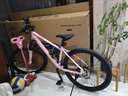 福特LM380山地自行車(chē)成人中學(xué)生男女LM350變速鋁合金油碟減震公路單車(chē) LM380A櫻花粉【24速油碟】免費試騎 I 終身質(zhì)保 M碼-16寸車(chē)架26寸輪徑【 建議:155-175cm 曬單實(shí)拍圖