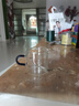 幫安居飄逸杯泡茶壺一鍵過(guò)濾水壺玻璃茶壺家用泡茶器單人2025款茶具全套 【1只裝】100ML茶杯 曬單實(shí)拍圖
