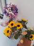向日葵混搭鮮花家用水養插花云南基地直發(fā)簡(jiǎn)易混搭水養花束 向日葵5枝+隨機百合6朵+隨機洋桔梗10朵 曬單實(shí)拍圖