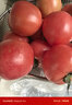 京地達西紅柿普羅旺斯西紅柿山東 凈重4.5斤 單果120g+蔬菜源頭直發(fā)包郵 曬單實(shí)拍圖