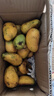 海南小臺農芒果 時(shí)令新鮮水果當季整箱應季熱帶特產(chǎn) 小臺農芒果凈重2斤單果70g+ 曬單實(shí)拍圖
