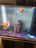 森森（SUNSUN）大型魚(yú)缸底過(guò)濾水族箱客廳家用落地玻璃生態(tài)金魚(yú)缸 【實(shí)時(shí)溫顯+燈控】經(jīng)典黑 0.8米長(cháng)35cm寬 曬單實(shí)拍圖
