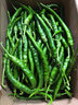 蜜鈺鮮正宗湖南邵陽新鮮青椒辣蔬菜農(nóng)家特產(chǎn)當季青椒薄皮中特辣現(xiàn) 5斤 曬單實拍圖
