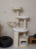 獸牌慕斯實(shí)木貓爬架不占地貓架貓窩貓抓板一體帶太空艙大貓暖冬可用 慕斯 曬單實(shí)拍圖