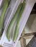 壽光新鮮長(cháng)絲瓜蔬菜綠皮現摘農家自種綠色蔬菜應季山東現發(fā)鮮嫩 新鮮絲瓜 4斤 曬單實(shí)拍圖