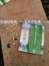 大肉苦瓜種子青苦瓜種子高產(chǎn)特大綠油苦瓜肉多四季苦瓜籽蔬菜種子 油綠苦瓜種子 5包約51粒 曬單實(shí)拍圖