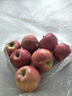【高山原產(chǎn)地】甘肅天水花牛蘋(píng)果紅蛇粉面蘋(píng)果平果水果禮盒中秋 普箱天水花牛蘋(píng)果帶箱2斤凈重1.7斤65mm-70mm 曬單實(shí)拍圖