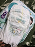 幫寶適（Pampers）清新幫透氧Pro嬰兒拉拉褲紙尿褲尿不濕學(xué)行訓練褲超柔透氣 【整箱2包】拉拉褲XXXL共64片 曬單實(shí)拍圖