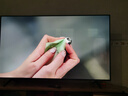 TCL雷鳥(niǎo)鶴6 26款 55英寸 萬(wàn)象分區QD-MiniLED1100nits 高階VA安橋音響288Hz 平板游戲電視55R69A-A 曬單實(shí)拍圖