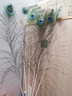 佐之尋孔雀羽毛擺件插花瓶的羽毛天然孔雀翎尾羽DIY裝飾品客廳花瓶擺件 孔雀毛 (70-80cm 6支) 曬單實(shí)拍圖