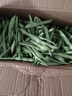 新鮮現摘四季豆云南豆角農家自種應季蔬菜長(cháng)扁蕓豆整箱包郵 凈重4.5斤 曬單實(shí)拍圖