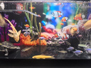 畫(huà)法幾何魚(yú)缸背景貼紙 小米米家智能魚(yú)缸專(zhuān)用亞克力板魚(yú)缸背景板壁紙壁畫(huà) 小丑珊瑚 曬單實(shí)拍圖