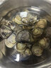 鮮活大文蛤300g（6-10粒） 曬單實(shí)拍圖