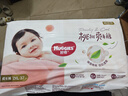 好奇（Huggies）鉑金裝小桃褲成長(cháng)褲XXL74片(15kg以上)尿不濕【透爽散熱】 曬單實(shí)拍圖
