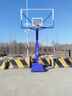 健倫【包安裝】籃球架成人戶(hù)外標準籃球框藍色常規凹箱 曬單實(shí)拍圖