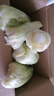 【冬儲菜】新鮮龍牙白菜大白菜無(wú)筋無(wú)絲開(kāi)鍋爛火鍋必備 3斤含箱 曬單實(shí)拍圖