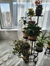 鐵藝花架多層家用裝飾花架子客廳落地式可移動(dòng)擺放花盆托架好看 【七層可放八盆】黑砂紋+滾輪 無(wú)規格 曬單實(shí)拍圖
