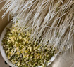 豆芽機家用全自動(dòng)智能大容量發(fā)豆芽菜神器桶豆牙盆生綠豆芽罐 2層-一個(gè)壓盤(pán)（可做酸奶米酒） 曬單實(shí)拍圖