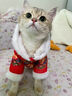 阿莫爾新年喜慶貓咪衣服冬季加厚保暖布偶英短金漸層小貓寵物狗狗可牽引 喜慶耳朵衛衣 S（建議3-5斤 參考胸圍背長(cháng)） 曬單實(shí)拍圖