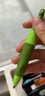 思筆樂(lè )（STABILO）胖胖鉛 德國兒童自動(dòng)鉛筆3.15mm 安全無(wú)毒正姿文具一二年級小學(xué)生練字三件套 綠色 曬單實(shí)拍圖