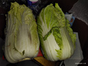 【東東買(mǎi)菜】新鮮現摘大白菜北京三號冬儲菜火鍋菜真便宜蔬菜 新鮮大白菜5~6斤 曬單實(shí)拍圖