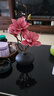 仿真玉蘭花套裝陶瓷花瓶桌面擺放花卉高檔逼真花藝客廳餐廳裝飾花 黑花瓶+玫紅花 曬單實(shí)拍圖