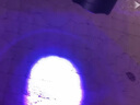 颯望【德國】紫光燈鑒定專(zhuān)用藍帆黃曲霉菌檢測蔬菜手電筒熒光劑測果專(zhuān) 檢測筆 曬單實(shí)拍圖
