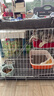 憨憨寵貓籠折疊貓籠子大號貓別墅加粗加密雙層貓舍貓窩寵物貓咪用品家用 白色 700雙層 曬單實(shí)拍圖