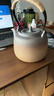 圍爐煮茶陶壺茶具家用養生壺沖茶壺電陶爐泡茶器 陶壺 1200ml 曬單實(shí)拍圖