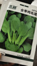 北蔬 生菜種子家庭盆栽春天菜四季速生蔬菜種籽 熱雄101甜生菜種子20g 曬單實(shí)拍圖