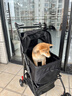 【京東物流】寵物推車(chē)狗狗代步貓咪手推車(chē)外出中小型犬拉車(chē)貓包 P5A黑色（車(chē)包分離）+餐盤(pán)+布兜 曬單實(shí)拍圖