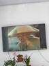 華為Vision智慧屏 5 SE優(yōu)享版 65英寸 鴻蒙AI搜片 Mate 80投屏好搭檔平板電視機HDB526A9 曬單實(shí)拍圖