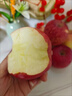吉縣蘋(píng)果【禮盒裝】正宗山西吉縣紅富士蘋(píng)果壺口脆甜蘋(píng)果精選新鮮送禮水果 80mm大果【15顆精品送禮佳品】 曬單實(shí)拍圖