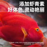 德瑞水族 魚(yú)飼料血鸚鵡增紅增艷專(zhuān)用魚(yú)糧魚(yú)食發(fā)財魚(yú)金魚(yú)錦鯉飼料1200g 曬單實(shí)拍圖