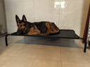 寵六一 冬季狗窩 離地狗床 寵物狗窩 行軍床 舒適防潮透氣 可拆洗 懸空 大號 網(wǎng)面107*73cm 曬單實(shí)拍圖
