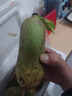 京地達山東正宗濰縣水果蘿卜凈重9斤單果300g+脆嫩多汁源頭直發(fā)包郵 曬單實(shí)拍圖
