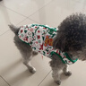 嬉皮狗（hipidog）秋冬季小狗衣服小餅人馬甲圣誕節保暖開(kāi)衫泰迪比熊小型犬寵物衣服 蒂安綠小餅人（可牽引） M M(建議體重5-8斤) 曬單實(shí)拍圖