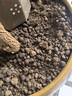 史丹利大號陶粒墊底養花專(zhuān)用花盆鋪面多肉花卉種花陶土顆粒園藝陶粒土5L 曬單實(shí)拍圖