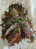 亨迅云南紅油香椿芽頭茬現摘野生嫩紅芽露天香椿葉菜類(lèi)新鮮時(shí)令蔬菜 凈重半斤裝 |【時(shí)令嘗鮮】 曬單實(shí)拍圖