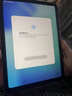 Apple/蘋(píng)果 iPad11英寸 A16芯片2025年款 平板電腦 (128GB WLAN版/學(xué)習辦公娛樂(lè ))粉色 曬單實(shí)拍圖
