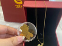 珍尚銀中國黃金本命年女士禮物女小馬吊墜項鏈新年情人節禮物女朋友老婆 曬單實(shí)拍圖
