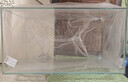 森森 超白玻璃小魚(yú)缸HWK-600P裸缸款水草缸金魚(yú)缸小型水族箱水草缸  曬單實(shí)拍圖