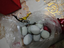 皮蛋松花蛋無(wú)鉛工藝65g*20枚 年貨禮品家庭裝 溏心砂芯皮蛋團購 10枚 曬單實(shí)拍圖