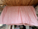 慈云云之夢(mèng)蠶絲被 100%桑蠶長(cháng)絲優(yōu)等四季子母被兩條總重9.2斤2*2.3m粉 曬單實(shí)拍圖