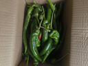 采緹（CAITI）辣妹子辣椒特別辣東北小辣椒薄皮青尖辣椒蘸醬 新鮮辣妹子3斤 曬單實(shí)拍圖