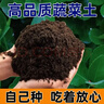 春強農業(yè)種菜營(yíng)養土種植土壤10斤蔬菜瓜果家用植物優(yōu)質(zhì)園藝室內盆 農家肥種菜土/肥力持久/不燒苗 種菜土30斤【無(wú)異味不燒苗】 曬單實(shí)拍圖