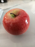 萌趣仿真蘋(píng)果水果汽車(chē)擺件電動(dòng)車(chē)內車(chē)載中控臺擺件大屏導航裝飾品 平平安安1個(gè)【紅色，帶無(wú)痕膠】 曬單實(shí)拍圖
